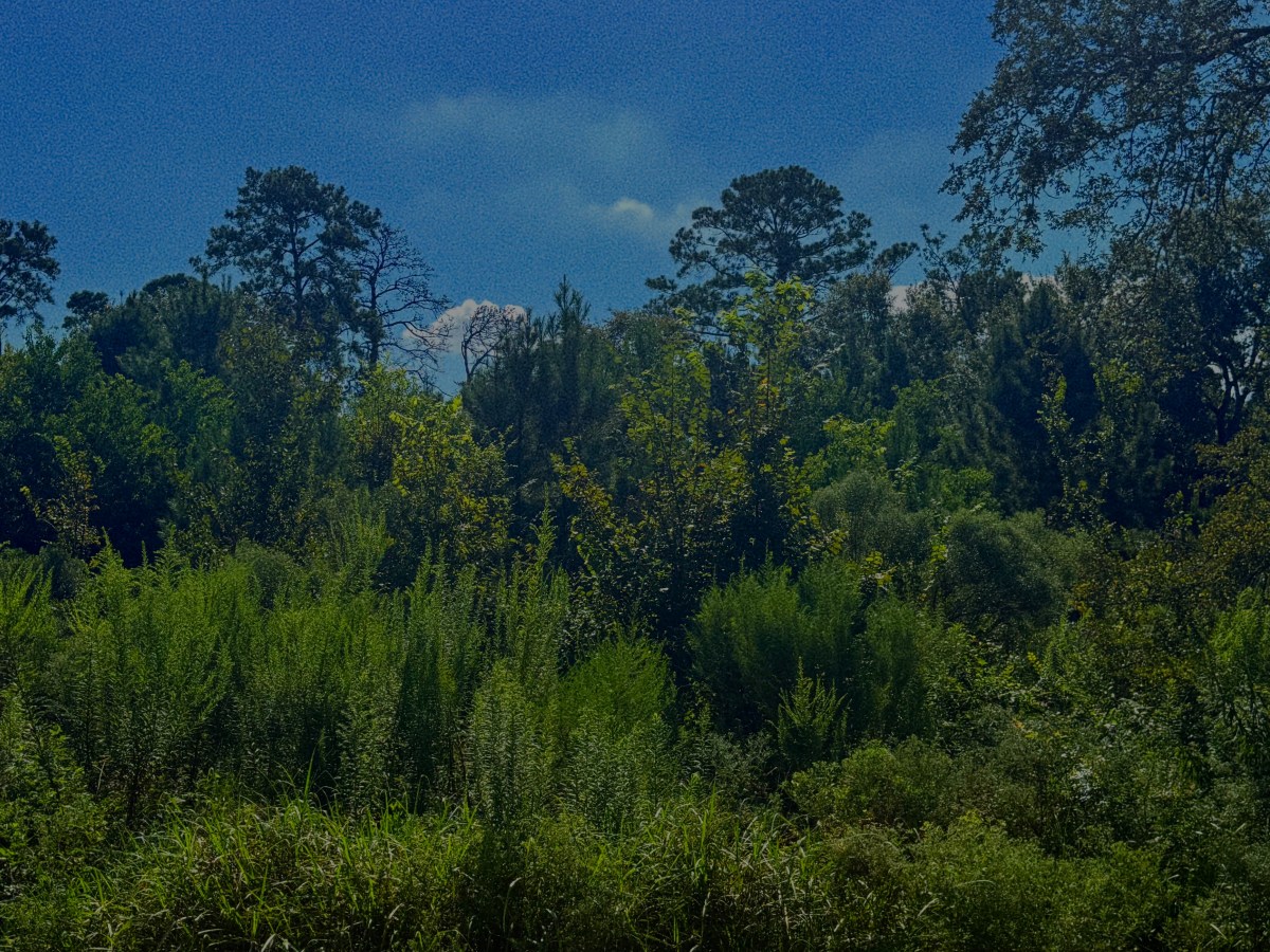 Here for it&nbsp;all