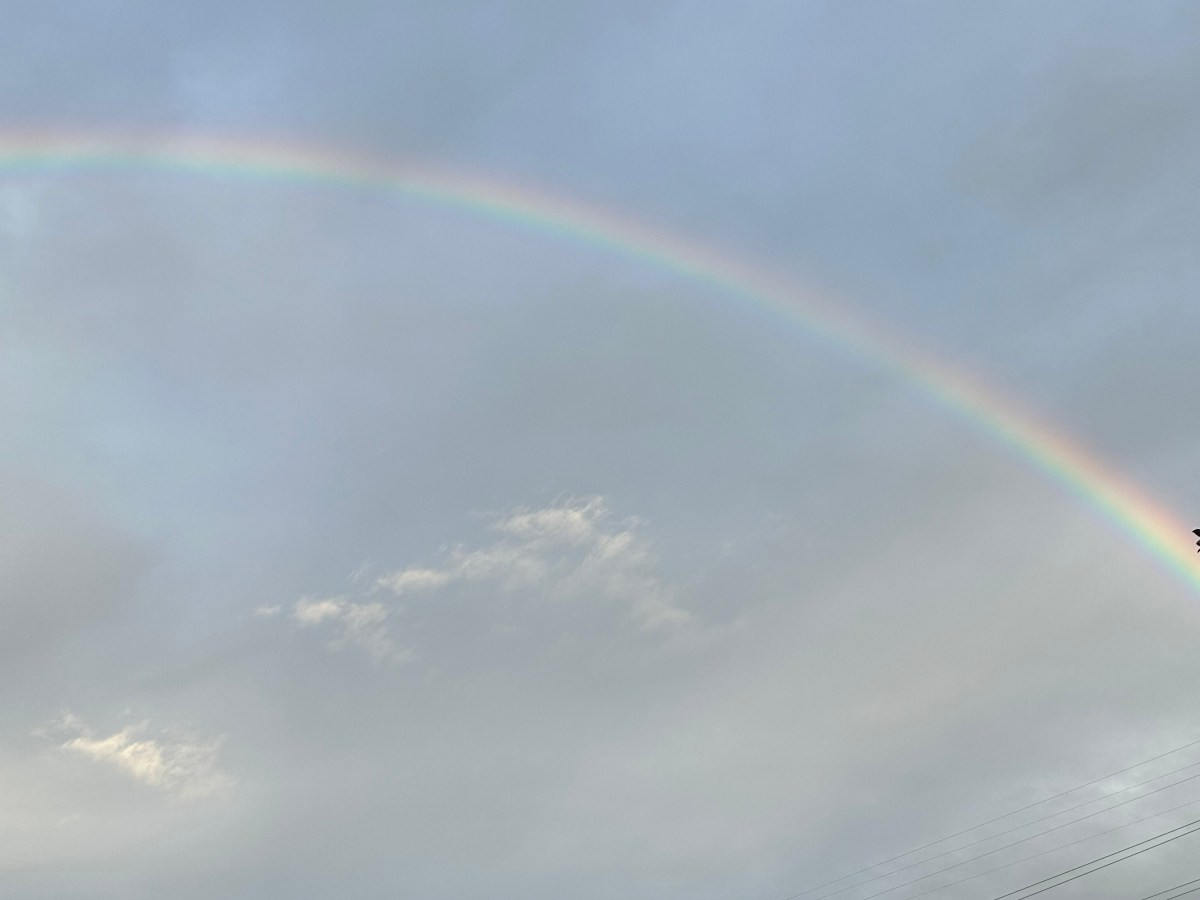 Gay men I am not your&nbsp;enemy